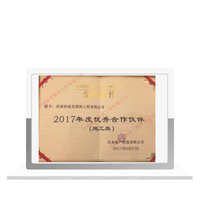 年度優(yōu)秀合作伙伴 榮譽